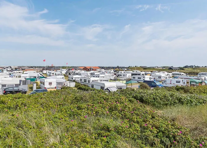 Alpehytte First Camp *